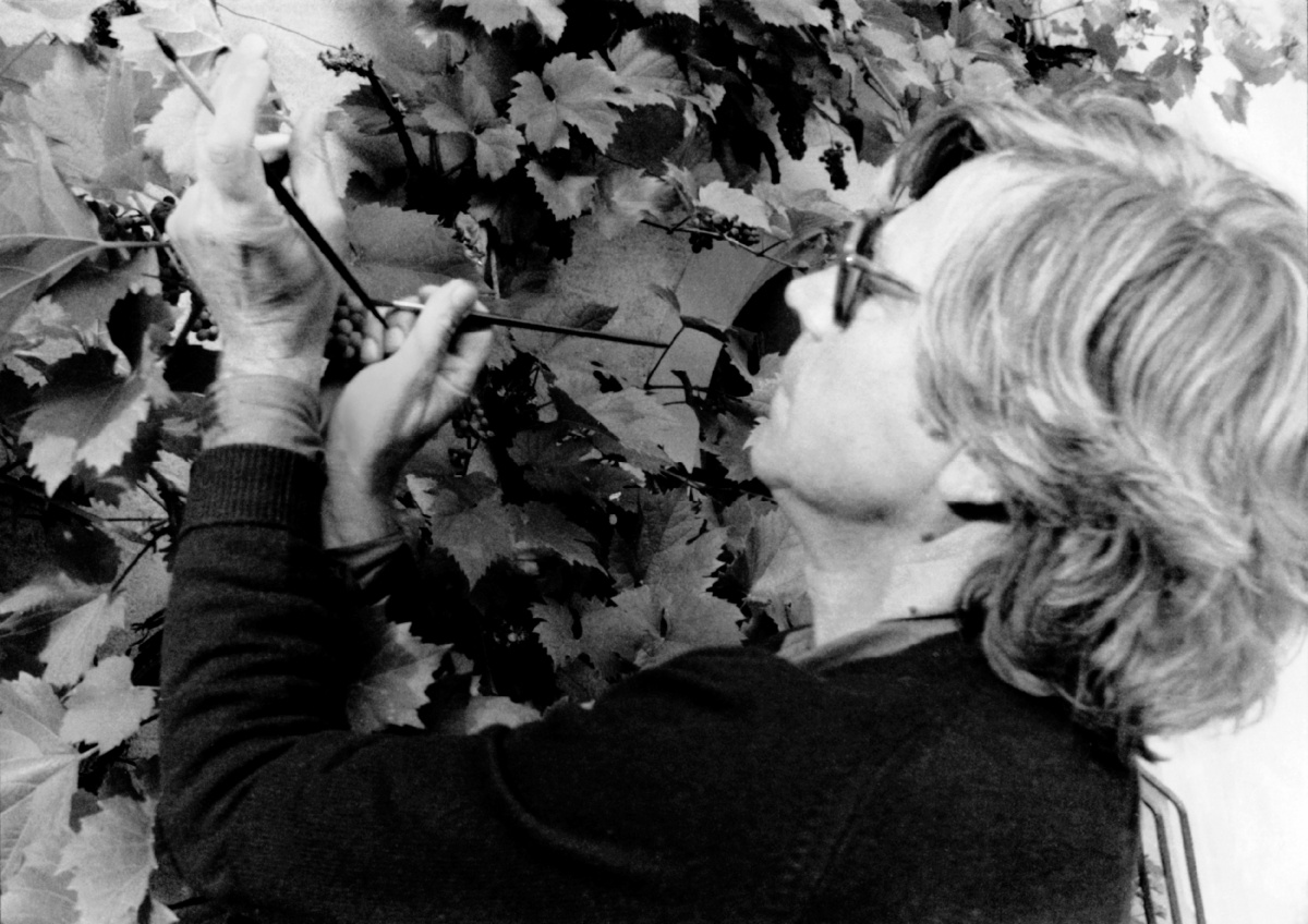 Bazon malt als Apelles Fliegen auf Trauben – Zeuxis und Parrhasios bewundern ihn., Bild: Baselland 1981. Foto | Annemarie Burckhardt.