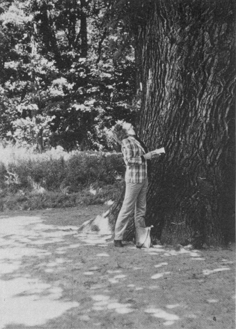 2 Baumpersönlichkeiten, Bild: Ich las ihm aus der Geschichte …, 1973
© Linde Burkhardt.