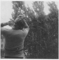 3 Anruf von den Pappeln...