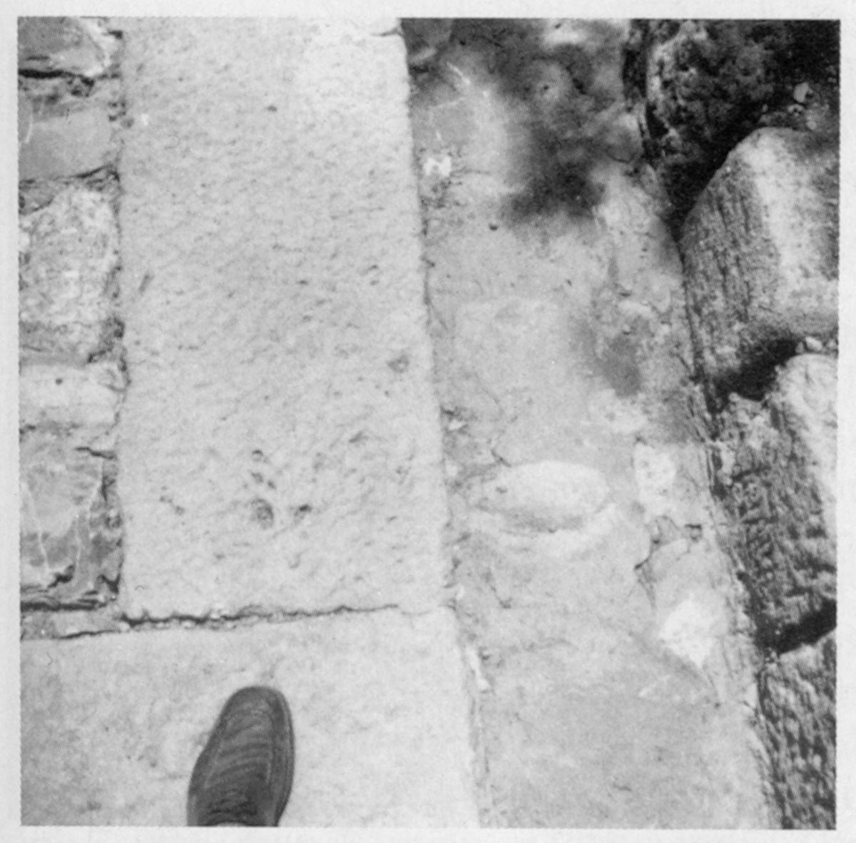 5. Schritt, Bild: Paestum 1971 © Melusine Huss.