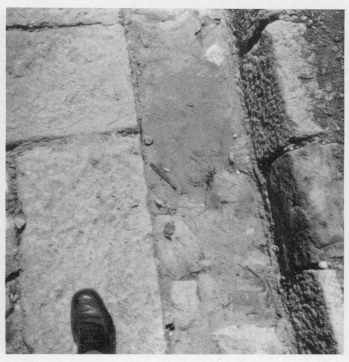 8. Schritt, Bild: Paestum 1971 © Melusine Huss.