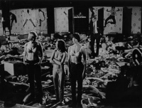 2 Die Konkrete Philosophie des Büstenhalters: Der "No-bra"