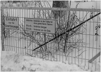 Literaturblech Adorno-Bloch-Brock