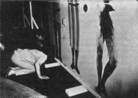 3 Kulturelle Gebote werden mit den zivilisatorischen in Übereinstimmung gebracht: "Du sollst nicht töten" wird als "Du sollst nicht in den Achseln riechen" gesellschaftlich realsierbar.