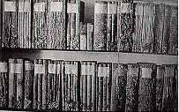 Die schildbachsche Holzbibliothek im Naturkundemuseum im Kasseler Ottoneum, 1771-1799