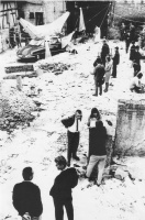 "Des lieben Springer geteiltes Deutschland"