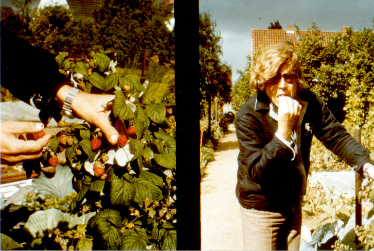 Brock Erdbeeren essend, 1970er Jahre