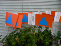 Festival der Zivilisationsheroen