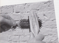 Moderne gleich Zauber der Reflexivität: Verdreckte Bürsten werden sauber, wenn man die Bürsten bürstet