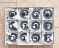 Der experimentelle Tintenfasswurf auf der Wartburg